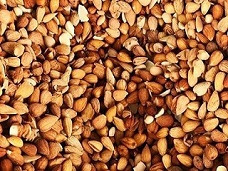 تصویر 3 از قیمت خرید بادام کوهی شور + فروش ویژه